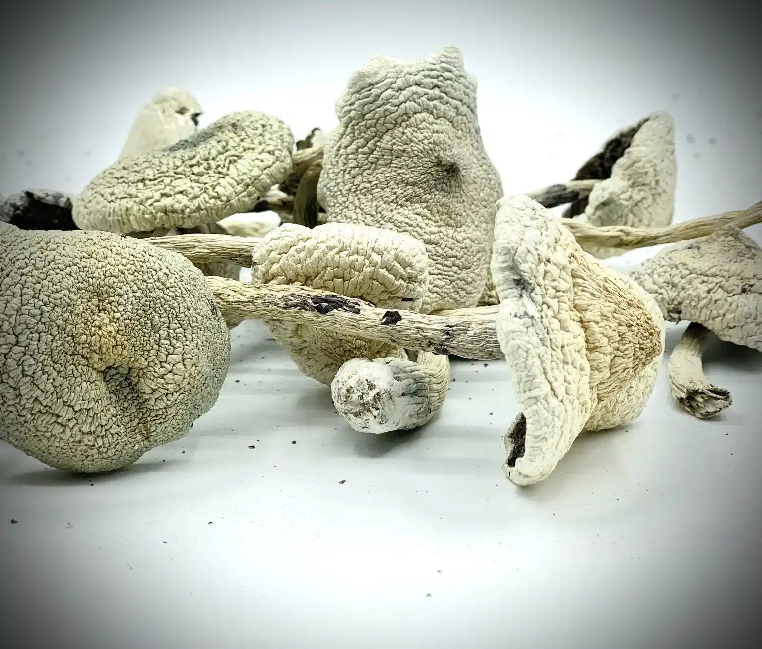 Buy Shrooms Online in the USA